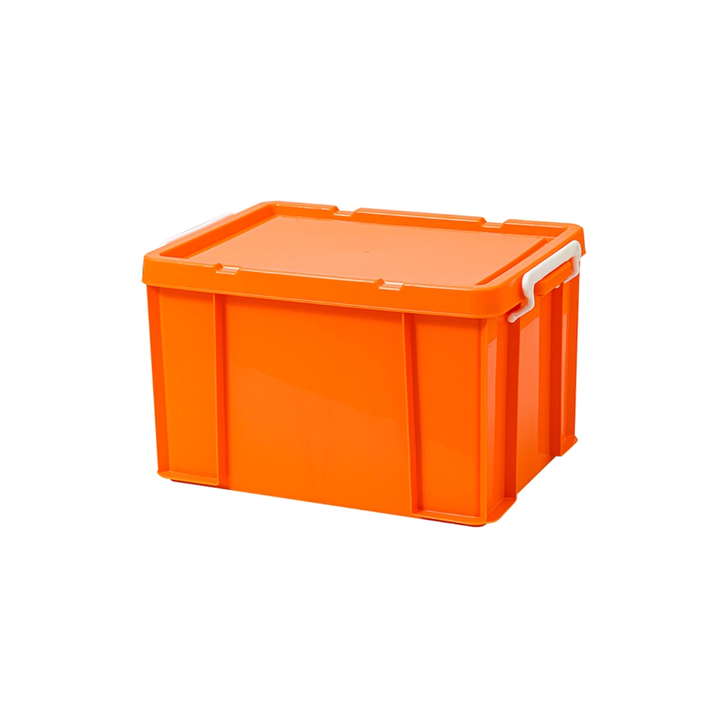 Storage Mould 